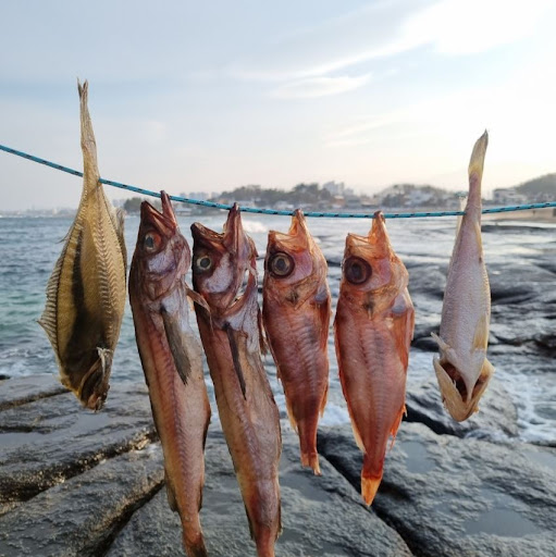국산 반건조생선의 향기와 맛, 속초사이버장터에서