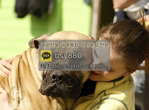 안전한 투자를 경험하는 굿데이 해선의 선물대여계좌업체 서비스