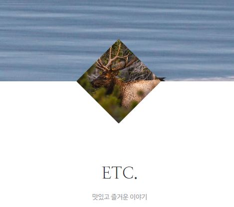 태상의 미니샵이 생활 정보를 가볍게 전하는 이유