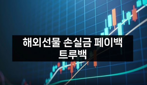 트루백: 해외선물미니업체의 신뢰할 수 있는 파트너